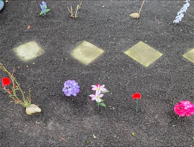 Blüten in grauem Kies